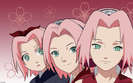 sakura1998