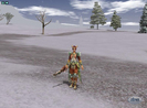metin_2_02[1]