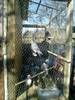 P061110_14.00_[01]