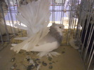 DSCN0131