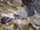 DSCN0134
