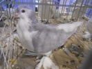 DSCN0135