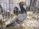 DSCN0138
