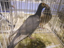 DSCN0139