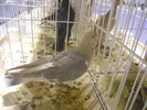 DSCN0140