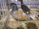 DSCN0141