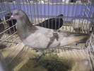DSCN0143
