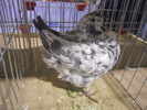 DSCN0150
