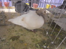 DSCN0159