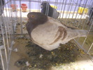 DSCN0162