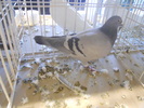 DSCN0167