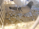 DSCN0168
