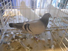 DSCN0169