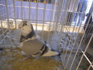 DSCN0170