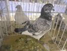 DSCN0171