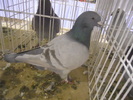 DSCN0172