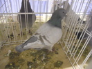 DSCN0174