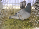 DSCN0175