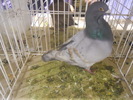 DSCN0177
