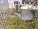 DSCN0178