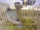 DSCN0179