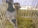 DSCN0180
