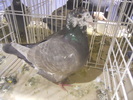 DSCN0181