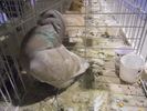 DSCN0184