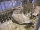 DSCN0185