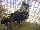 DSCN0187