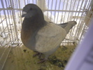 DSCN0188