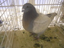 DSCN0189