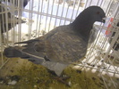 DSCN0191