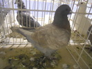 DSCN0192