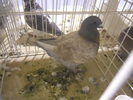 DSCN0195