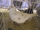 DSCN0197