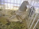DSCN0198