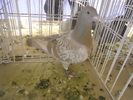 DSCN0199
