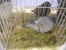 DSCN0202