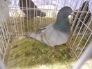 DSCN0204