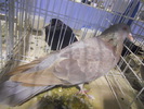 DSCN0205