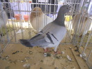 DSCN0206