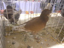 DSCN0208