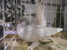 DSCN0209
