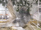 DSCN0210