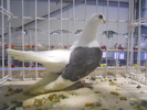 DSCN0215