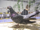 DSCN0217