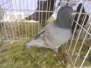 DSCN0218