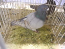 DSCN0219