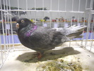 DSCN0220